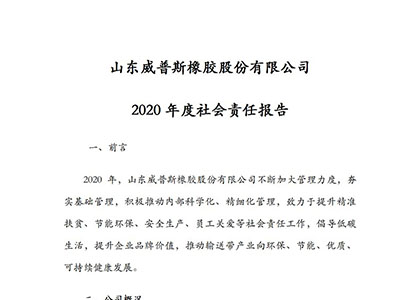 2020年度（dù）社會責任報告